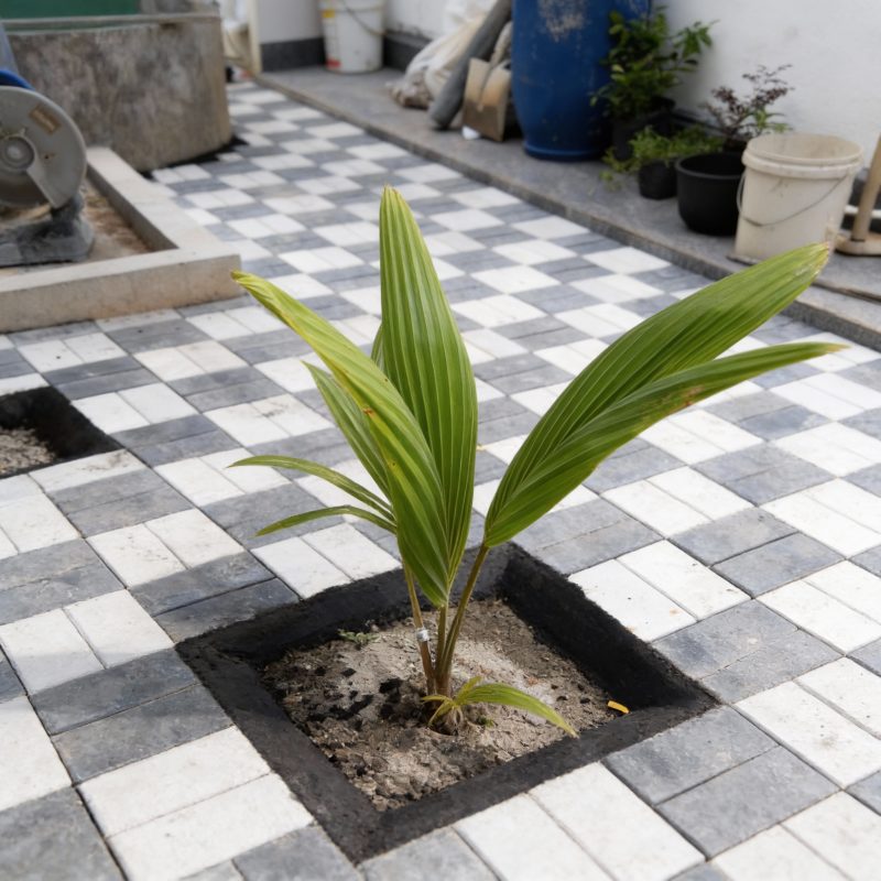 Methmi Constructions